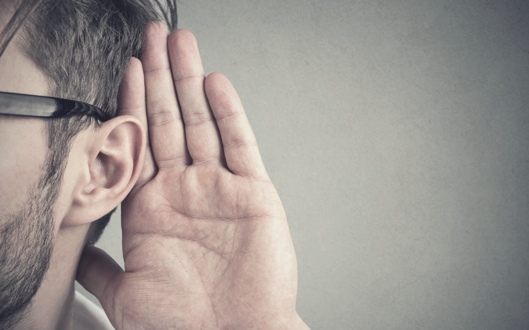 CONOCEDORES DE SU VOZ 