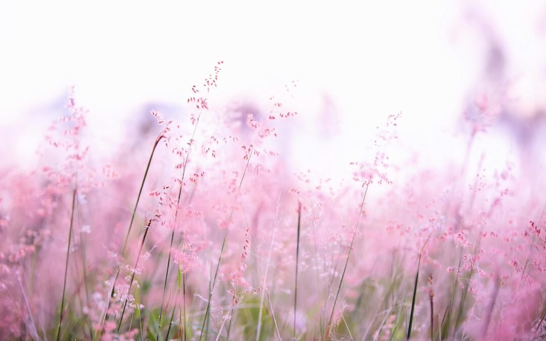 ¡“Nada Me Faltará”: Confiando en la Provisión de Dios