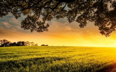 FIRMES EN CASA, FUERTES EN LA FE