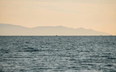 VOLVER A DETENERNOS PARA REFLEXIONAR